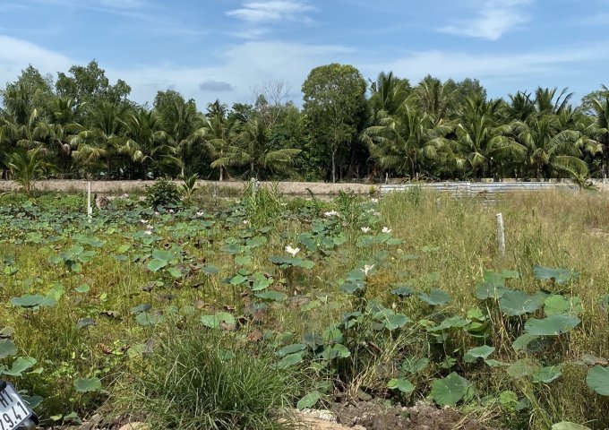 BÁN ĐẤT NỀN KẾ CHỢ GIÁO DẪN (Lộ Vòng Cung) THÔNG RA QL91B