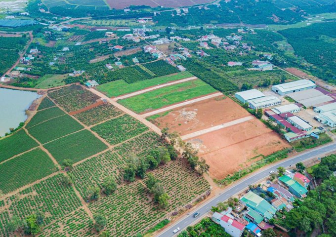 Đất nền Thị Trấn Di Linh, Lâm Đồng, ngay mặt tiền Quốc lộ 20, sổ đỏ riêng, 100m2 thổ, gần đồi chè