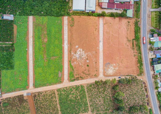 Đất nền mặt tiền Quốc lộ 20, thị trấn Di Linh, có sổ hồng 