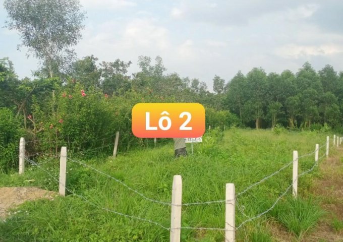 CẦN BÁN 2 LÔ ĐẤT Ở XÃ HIẾU LIÊM-HUYỆN VĨNH CỬU-TỈNH ĐỒNG NAI.
