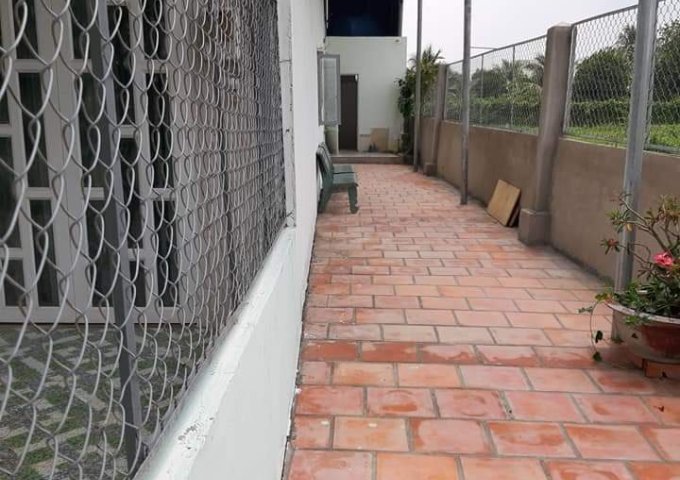 CHÍNH CHỦ BÁN NHÀ CẤP 4, CÓ GÁC, DT 6X20M, Ở ẤP 4B XÃ BÌNH MỸ, CỦ CHI. LH 0908454219.