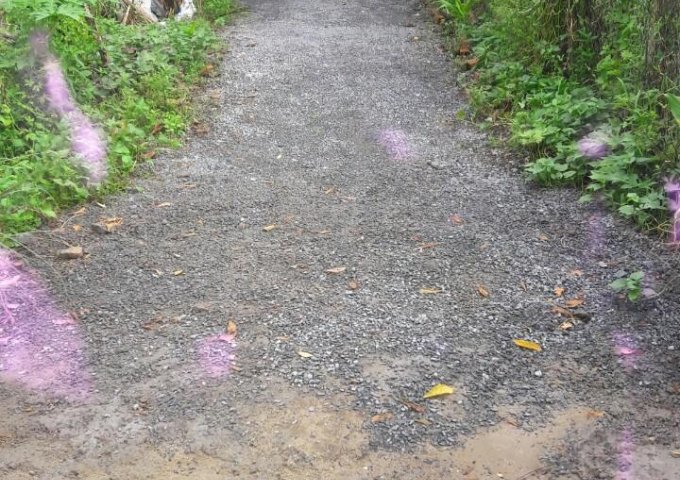 CHÍNH CHỦ BÁN NHÀ CẤP 4, CÓ GÁC, DT 6X20M, Ở ẤP 4B XÃ BÌNH MỸ, CỦ CHI. LH 0908454219.