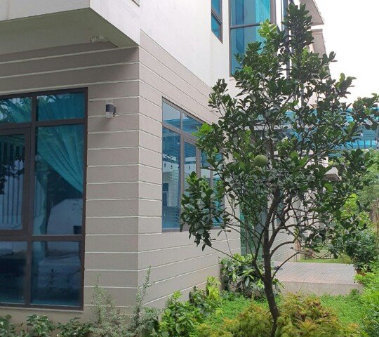 Chính chủ cần bán căn biệt thự Song Lập khu đô thi Ecopark, huyện Văn Giang, Tỉnh Hưng Yên
