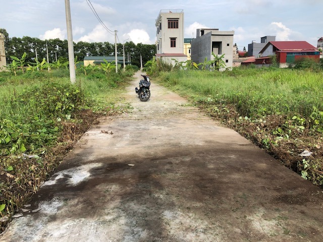 Bán đất nền giá rẻ làng tiến sĩ mộ trạch bình giang