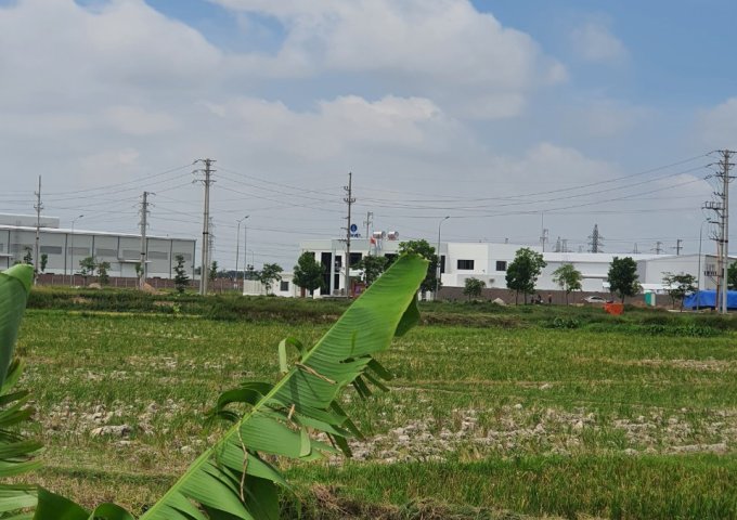 Bán đất tại Xã Quế Tân, Quế Võ,  Bắc Ninh diện tích 125m2  giá 1.970 Tỷ