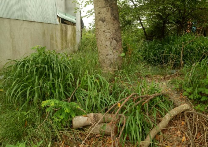 CHÍNH CHỦ CẦN BÁN LÔ ĐẤT DT 100M2 - HỐ NAI 3 - TRẢNG BOM - ĐỒNG NAI. LHCC: 0967017026 Đăng ngày: 08:55 - 17/09/2020 - Số lượt xem: 62