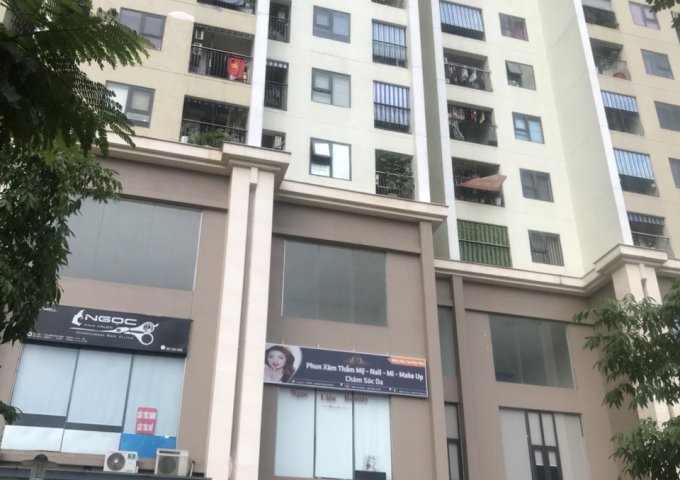 Chính chủ cần cho thuê Shophouse chân đế tòa Gelexia Yên Sở, quận Hoàng Mai, Hà Nội