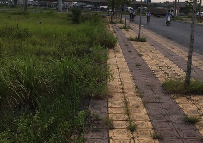 Bán nền trục chính khu dân cư Đông Thuận - DT 157.7m2 - cách đường dẫn cầu Cần Thơ chỉ 20m, Lh 0986184837 Sương ______ Trục chính Khu cách quốc lộ 1A 