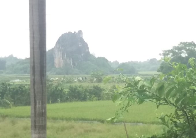      Bán Đất Lương Sơn,Hòa Bình 4000m,giá 4,5 tỷ