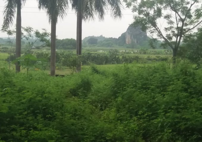 Bán đất Lương Sơn,Hòa Bình 2000m,giá 2 tỷ 