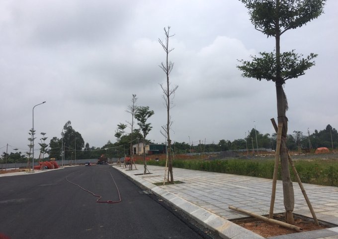 Đất nền dự án trung tâm Vĩnh Yên, Vĩnh Phúc - giá chỉ từ 17 triệu/m2