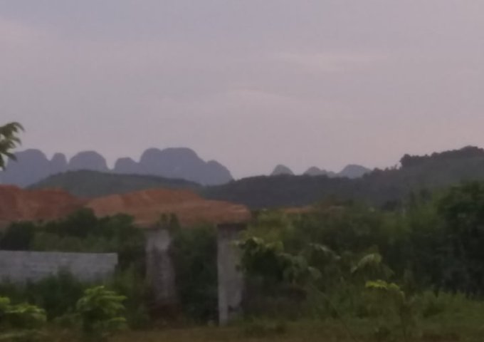 Bán đất Lương Sơn,Hòa Bình 6000m,giá 4 tỷ