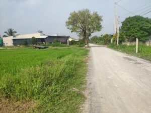 Chính chủ cần bán đất tại Thuận Hoà 2, Hoà Khánh Nam, Đức Hoà, Long An