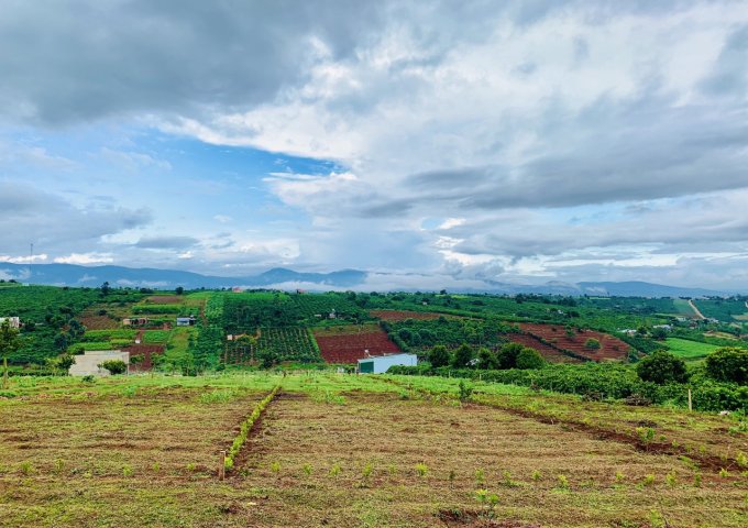 Bán lô đất thích hợp làm nhà vườn sinh thái tại Nam Hà, Lâm Hà, Lâm Đồng