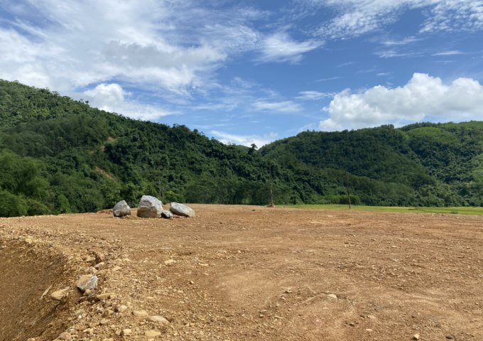 Chính chủ bán 6000m2 có 500m đất ở view cánh đồng giá rẻ tại Lương Sơn Hòa Bình