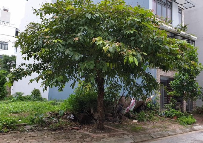 Bán đất tại Đường Việt Hưng, Long Biên,  Hà Nội diện tích 80m2  giá 7 Tỷ