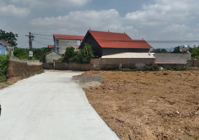 Bán đất thổ cư Thôn Ngọc Sơn, Chu Điện, Lục Nam, Bắc Giang