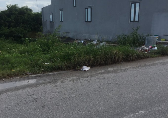 Đất giữa ngã 3 Đồng Nẻo đối diện KCN Đồ Sơn