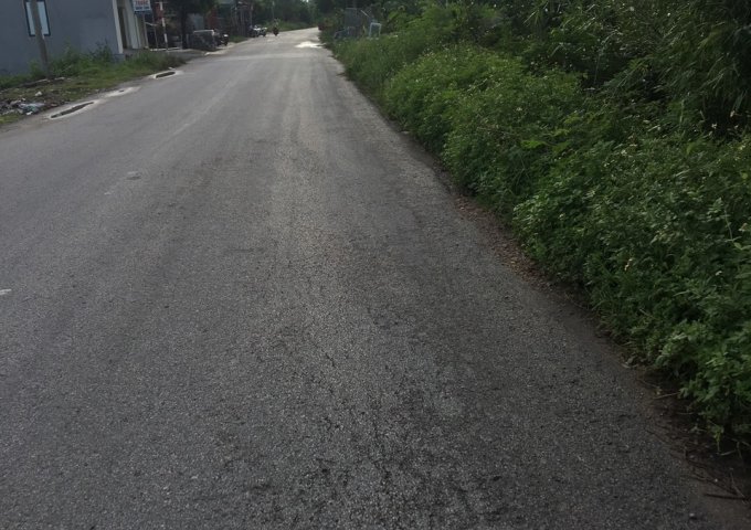 Đất giữa ngã 3 Đồng Nẻo đối diện KCN Đồ Sơn