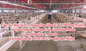 Cần cho thuê lại Cty Shang Hun Địa chỉ: KCN Đồng Xoài 1, xã Tân Thành, tp Đồng Xoài, tỉnh Bình Phước