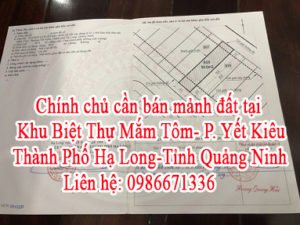 Chính chủ cần bán mảnh đất tại Khu Biệt Thự Mắm Tôm-Phường Yết Kiêu-Thành Phố Hạ Long-Tỉnh Quảng Ninh.
