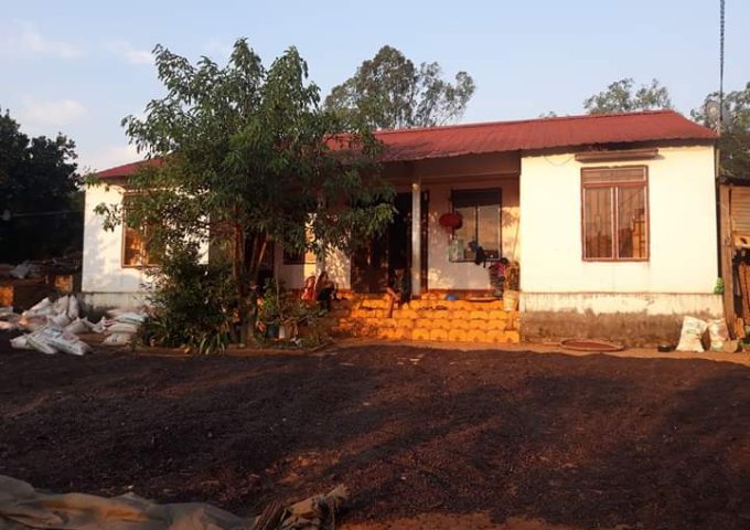 Cần bán đất chính chủ 1ha cà phê tại sóc sơn xã nam hà huyện Lâm Hà