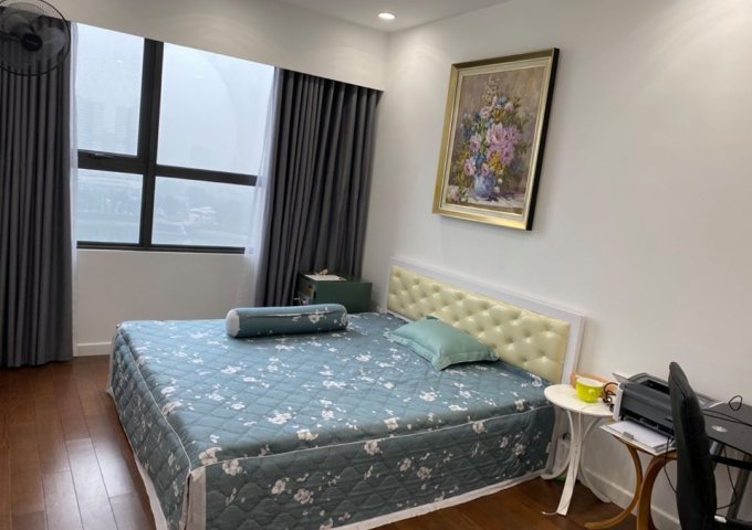 Cho thuê căn hộ Vinhomes D'Capitale rất nhiều căn đẹp giá rẻ 1PN 11tr, 2PN 14tr, 3PN 17tr/th