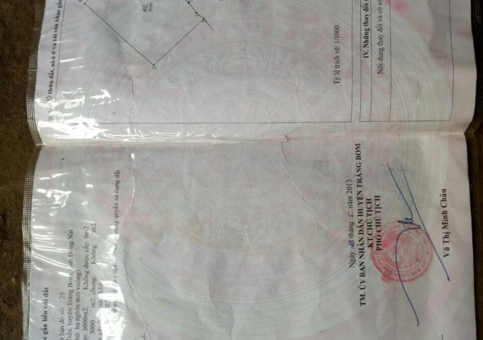 CHÍNH CHỦ CẦN BÁN GẤP LÔ ĐẤT XÃ SÔNG TRẦU - HUYỆN TRẢNG BOM - TỈNH ĐỒNG NAI