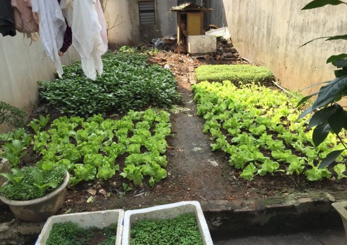 BÁN ĐẤT TẬP THỂ TỔNG CỤC II, PHƯỜNG CỔ NHUẾ 1, QUẬN BẮC TỪ LIÊM, HÀ NỘI