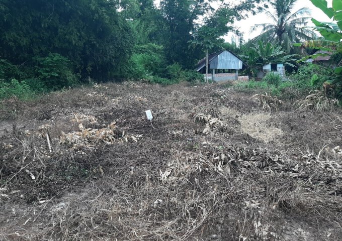 BÁN ĐẤT SÁT KHU CÔNG NGHIỆP THÀNH CÔNG , ẤP LỘC BÌNH , LỘC GIANG , ĐỨC HÒA , LONG AN