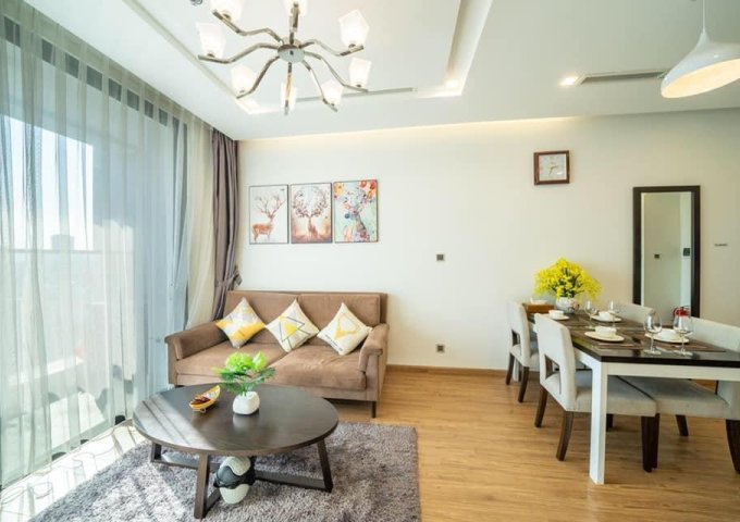 Chính chủ cho thuê căn hộ tại Ngọc Khánh Plaza cạnh hồ Ngọc Khánh, 120m2, 2PN, giá 13 triệu/tháng.