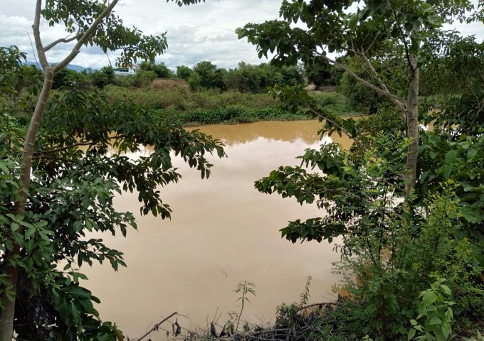 BÁN ĐẤT THÔN TÂN MỸ, - XÃ NINH XUÂN -THỊ XÃ NINH HÒA - KHÁNH HÒA
