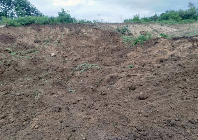 BÁN ĐẤT THÔN TÂN MỸ, - XÃ NINH XUÂN -THỊ XÃ NINH HÒA - KHÁNH HÒA