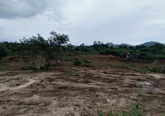 BÁN ĐẤT THÔN TÂN MỸ, - XÃ NINH XUÂN -THỊ XÃ NINH HÒA - KHÁNH HÒA