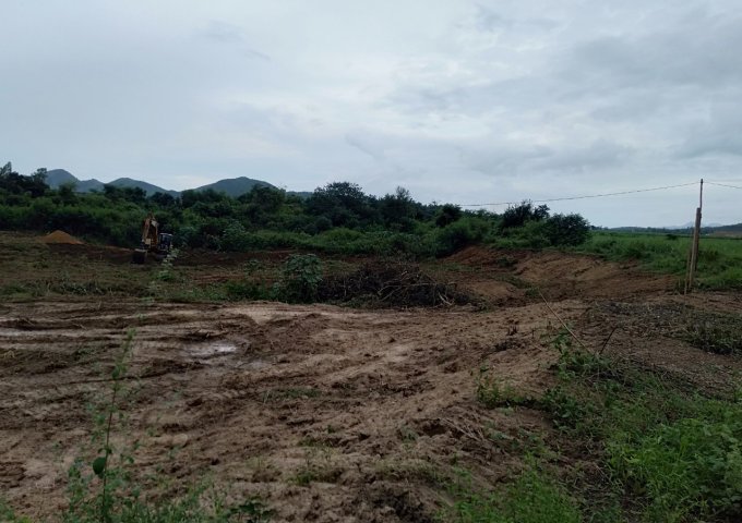 BÁN ĐẤT THÔN TÂN MỸ, - XÃ NINH XUÂN -THỊ XÃ NINH HÒA - KHÁNH HÒA