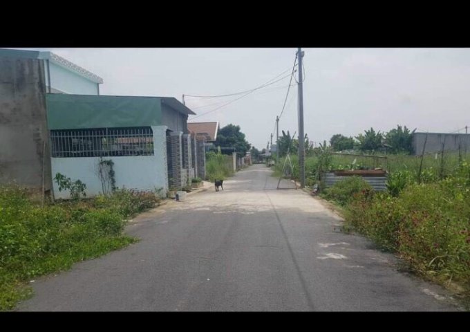 CHÍNH CHỦ CẦN BÁN ĐẤT ẤP 4 AN VIỂN TRẢNG BOM. ĐỒNG NAI.