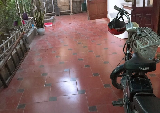 BÁN NHÀ TỔ 8 - PHƯỜNG LỘC HẠ - THÀNH PHỐ NAM ĐỊNH - NAM ĐỊNH