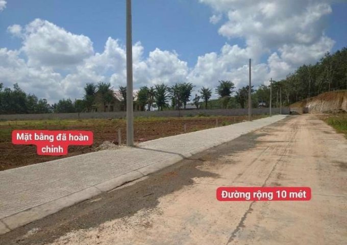 Đất Nền Phân Lô Giá Rẻ, Huyện Đồng Phú – Bình Phước