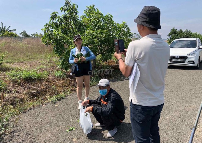 ĐẤT NỀN NHÀ PHỐ SỔ HỒNG THỔ CƯ BẢO LỘC PARK HILL TẠI LỘC TÂN, BẢO LÂM, LÂM ĐỒNG