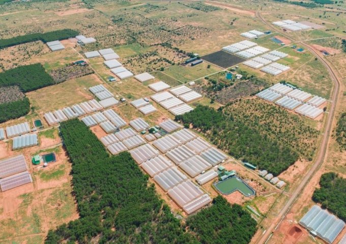 Bán lô đất trang trại sổ đỏ 37.345m2 giá 4 tỷ 668, ngay cạnh trang trại dưa lưới, khu Safari, đường rộng 8m, điện nước đầy đủ