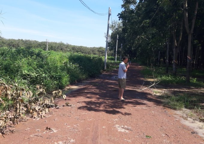 GẤP! CẦN TIỀN TRẢ NỢ NGÂN HÀNG CẦN BÁN NHANH LÔ ĐẤT 90 X120 (12000M2) MẶT TIỀN, GẦN UB XÃ AN LINH, PHÚ GIÁO, BÌNH DƯƠNG. LHCC: 0941.45.46.47