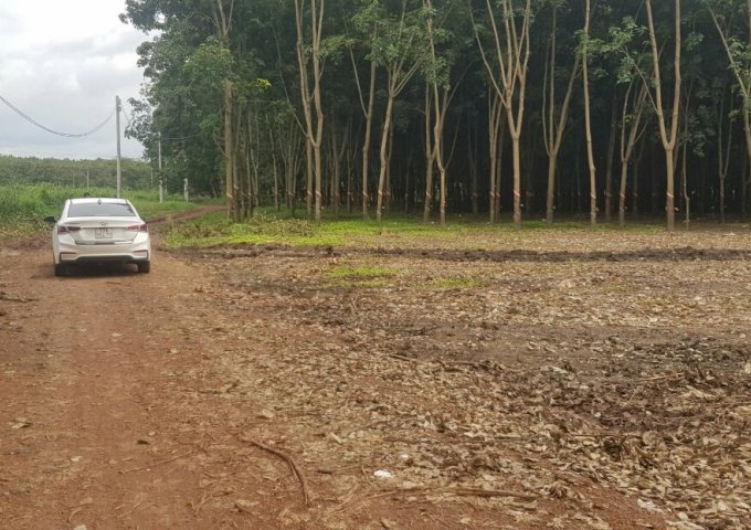 GẤP! CẦN TIỀN TRẢ NỢ NGÂN HÀNG CẦN BÁN NHANH LÔ ĐẤT 90 X120 (12000M2) MẶT TIỀN, GẦN UB XÃ AN LINH, PHÚ GIÁO, BÌNH DƯƠNG. LHCC: 0941.45.46.47