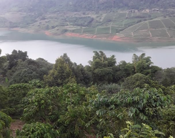 Đất Bảo Lộc 500m2 sổ sẵn view hồ