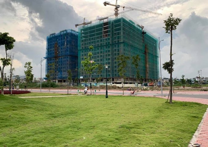 Bán shophouse CC Bạch Đằng Lake view, TP Hải Dương N01, 57m2, giá tốt