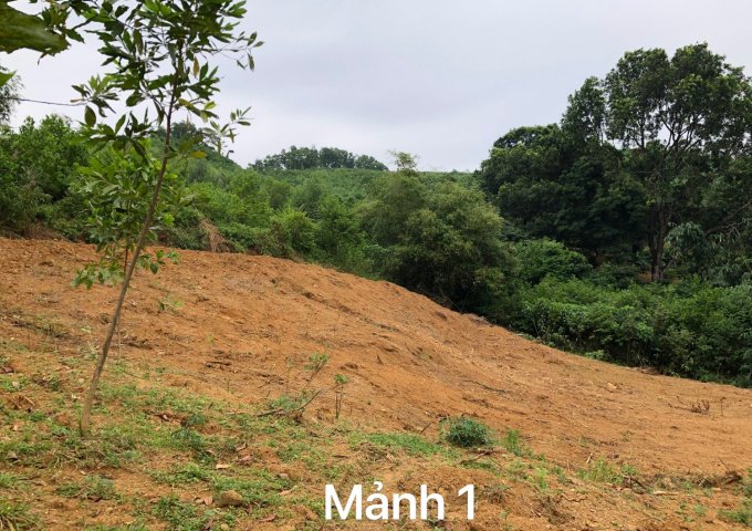 CHÍNH CHỦ BÁN 2 MẢNH ĐẤT XÃ VÂN HÒA, HUYỆN BA VÌ, HÀ NỘI