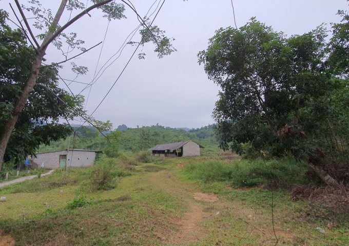 Bán đất tại Xã Lương Sơn, Lương Sơn, Hòa Bình diện tích 96,000m2
