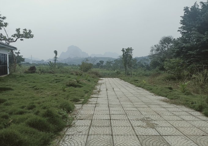 Bán đất tại Đường Quốc lộ 6, Lương Sơn,  Hòa Bình diện tích 4,200m2