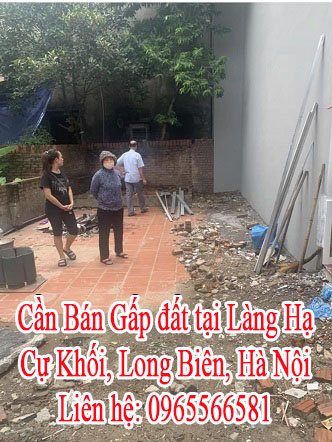 Cần Bán Gấp đất tại Làng Hạ, Cự Khối, Long Biên, Hà Nội.