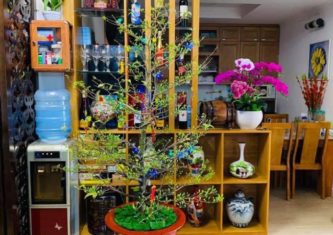 DO NHÀ CÓ THÊM THÀNH VIÊN MỚI, ĐÃ MUA DC NHÀ RỘNG HƠN NÊN KO CÓ NHU CẦU SỬ DỤNG CĂN HỘ NÀY NÊN MÌNH BÁN CĂN HỘ CHUNG CƯ TẠI KHU ĐẤT VÀNG BÌNH THẠNH.