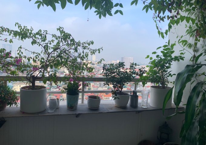 Cần bán CH chung cư N105 Nguyễn Phong Sắc, căn góc 133m2:3PN, 2VS, full NTCC, gỗ tự nhiên 100%. Giá bán 3,5 tỷ. LH: 0979978194/0916874128